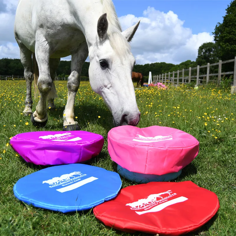 D Equilibrium Bucket Cosi-1